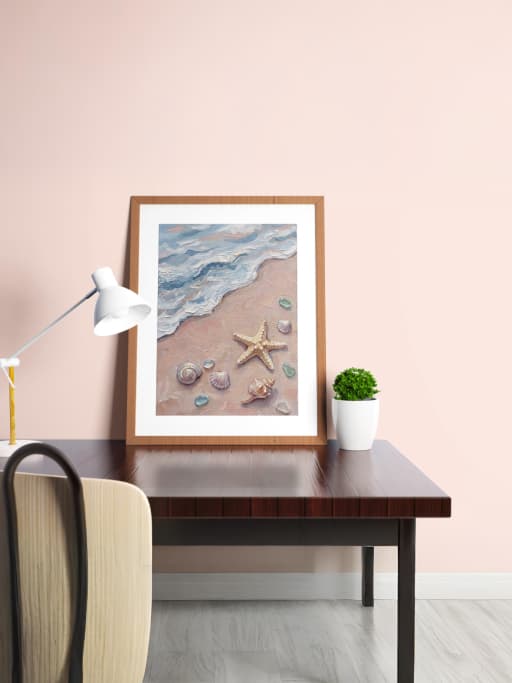 Sao biển và vỏ sò