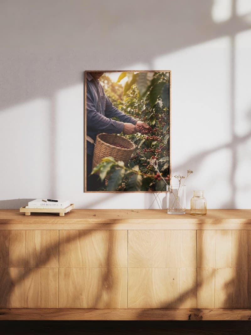 Tranh Người Hái Cà Phê Hiện Đại