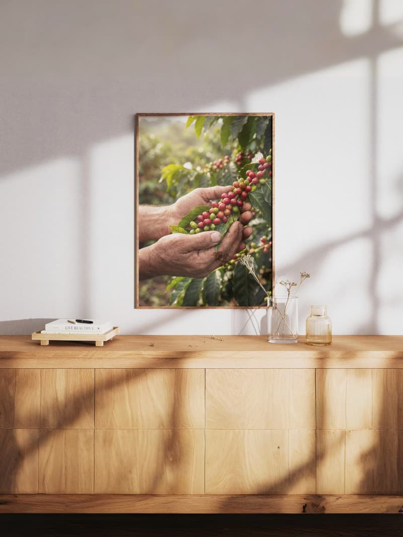 Tranh Bàn Tay Và Trái Cà Phê Chân Thực