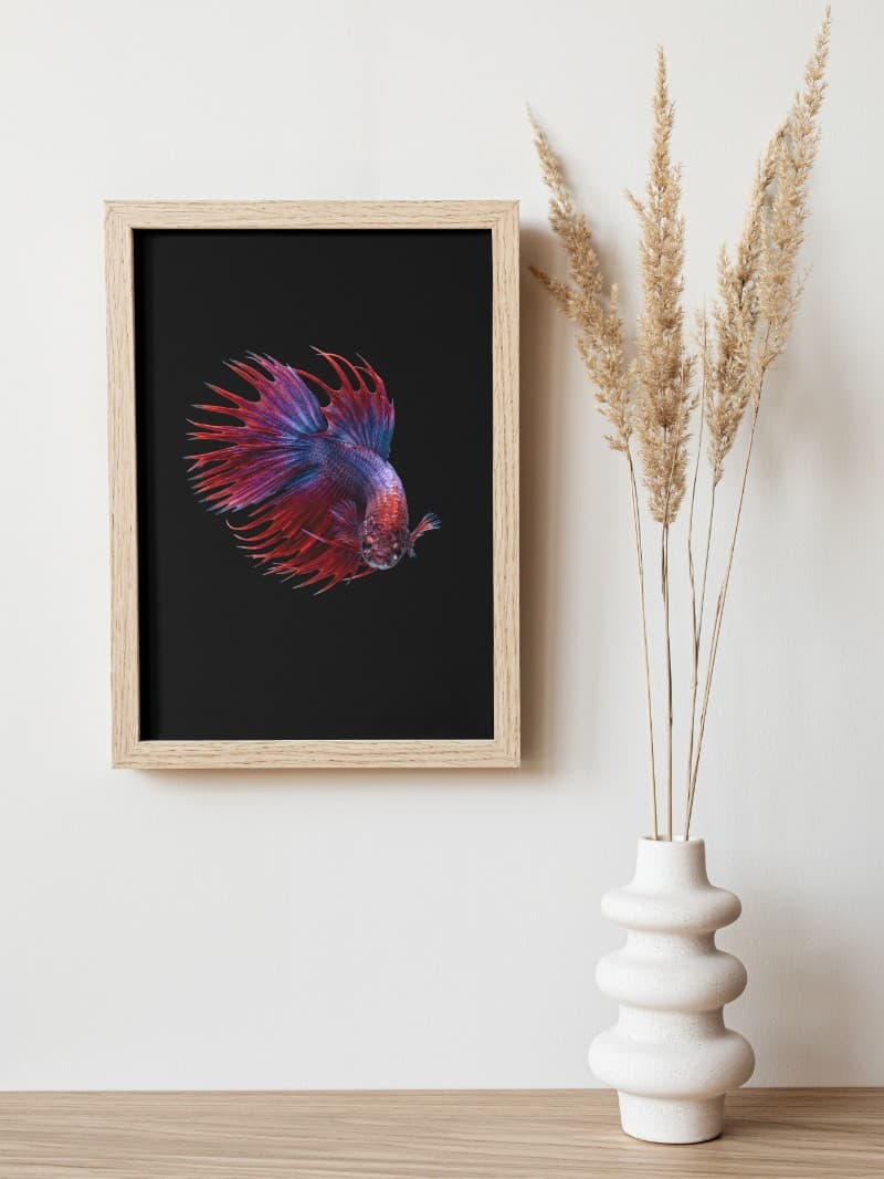 Tranh Cá Cảnh Nghệ Thuật Cao Cấp - Biểu Tượng Tài Lộc & Bình An