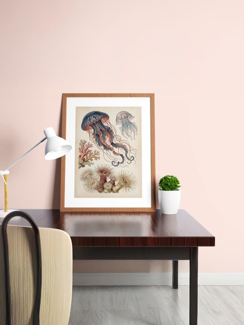 Bộ Sưu Tập Tranh In Cổ Điển Độc Bản | Nghệ Thuật Sang Trọng