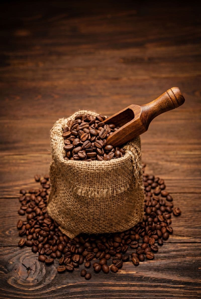 Tranh canvas bao bố hạt cà phê chân thực trang trí không gian phòng khách và quán cafe sang trọng