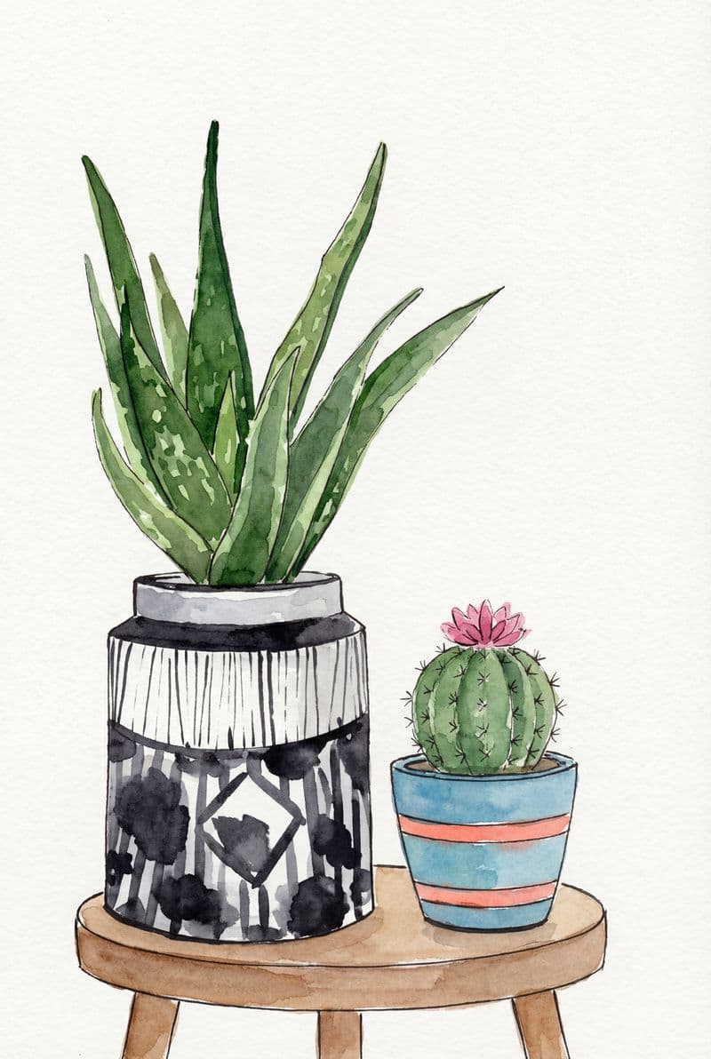 Tranh canvas cây xanh phong cách tối giản trang trí phòng khách hiện đại