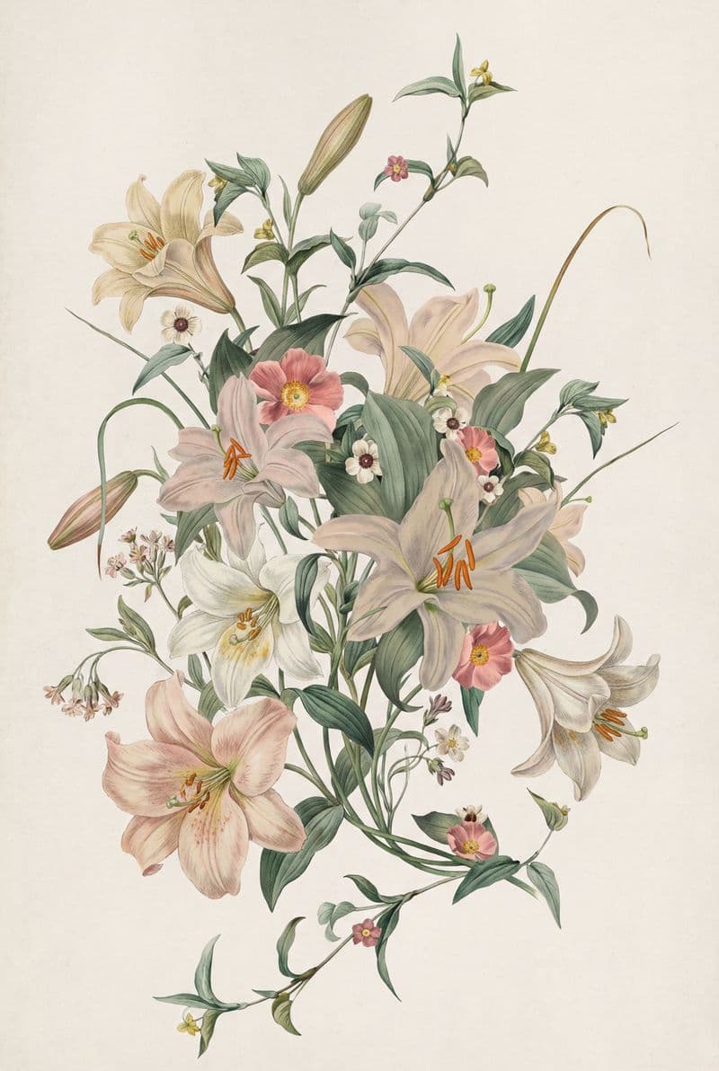 Tranh treo tường hoa Lily phong cách cổ điển trang trí phòng khách sang trọng