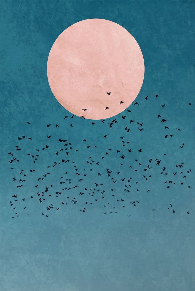 Tranh treo tường những chú chim bay đi trang trí phòng khách sang trọng