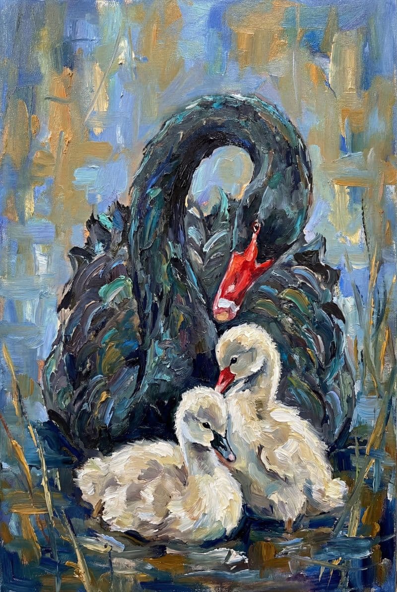 Tranh treo tường thiên nga đen và con non trang trí phòng khách sang trọng